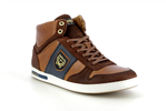 milito mid  tortoise - Photo