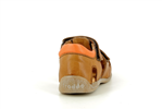 carte double  brown orange - Photo