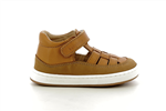 paul  861 cognac 9103 - Photo