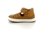 paul  861 cognac 9103 - Photo