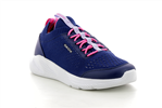 sprintye b  bleu marine fuchsia c4268 - Photo