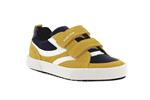 alphabeet c  yellow navy c2117 - Photo