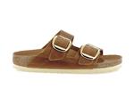 arizona cuir huile big buckle cognac largeur etroite - Photo