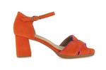 9293  orange fuchsia - Photo