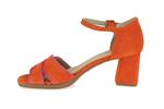 9293  orange fuchsia - Photo