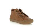 ollie s laces  5 cognac - Photo