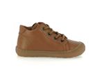 ollie s laces  5 cognac - Photo