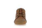 ollie s laces  5 cognac - Photo